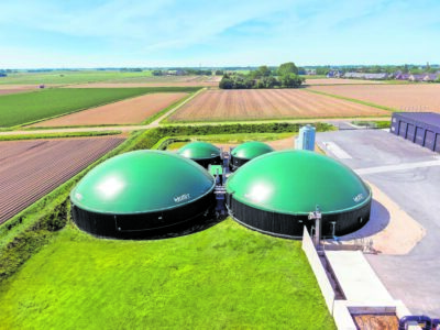 4. Organic Res Manure Marrum 2