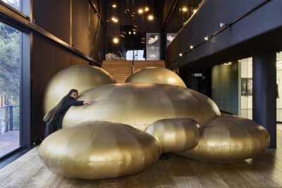 Installationview,goldendean(b.1976,southafrica),softvxnxs,202,inflatablesculpture,250x500x450x250cm,courtesyoftheartist.photographybyantheapokroy.