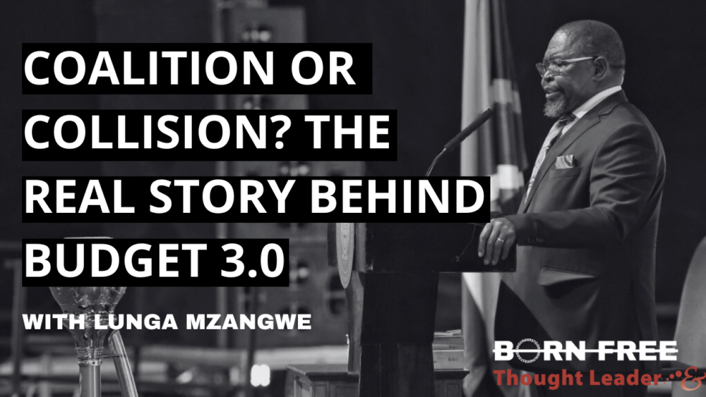Born Free: South Africa’s political future: GNU, budget 3.0 & 2026/2027 party elections? – Podcast episode six