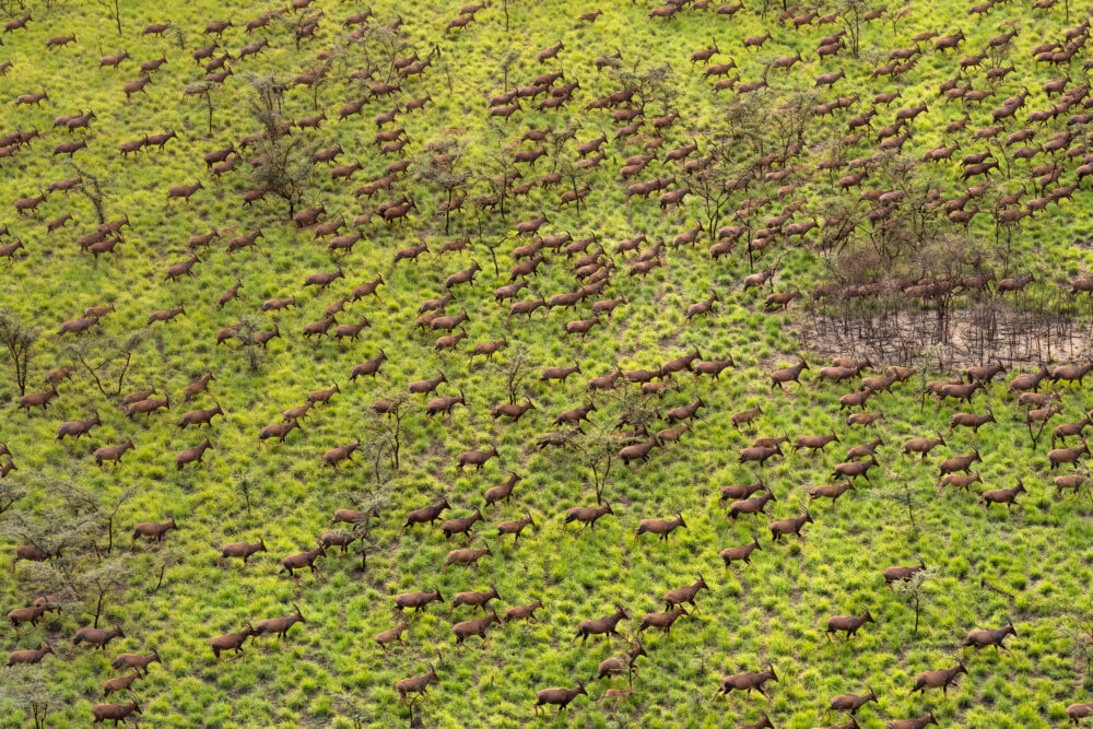 Tianginboma and Badingilonational Parks, Southsudan © Marcuswestberg (22)