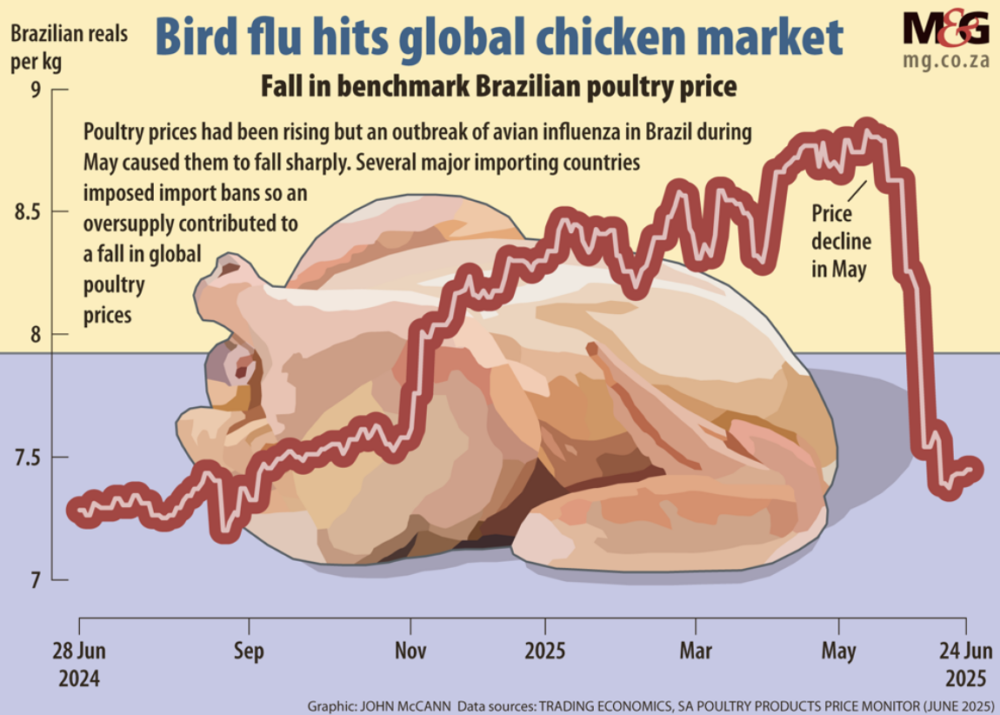 Bird Flu