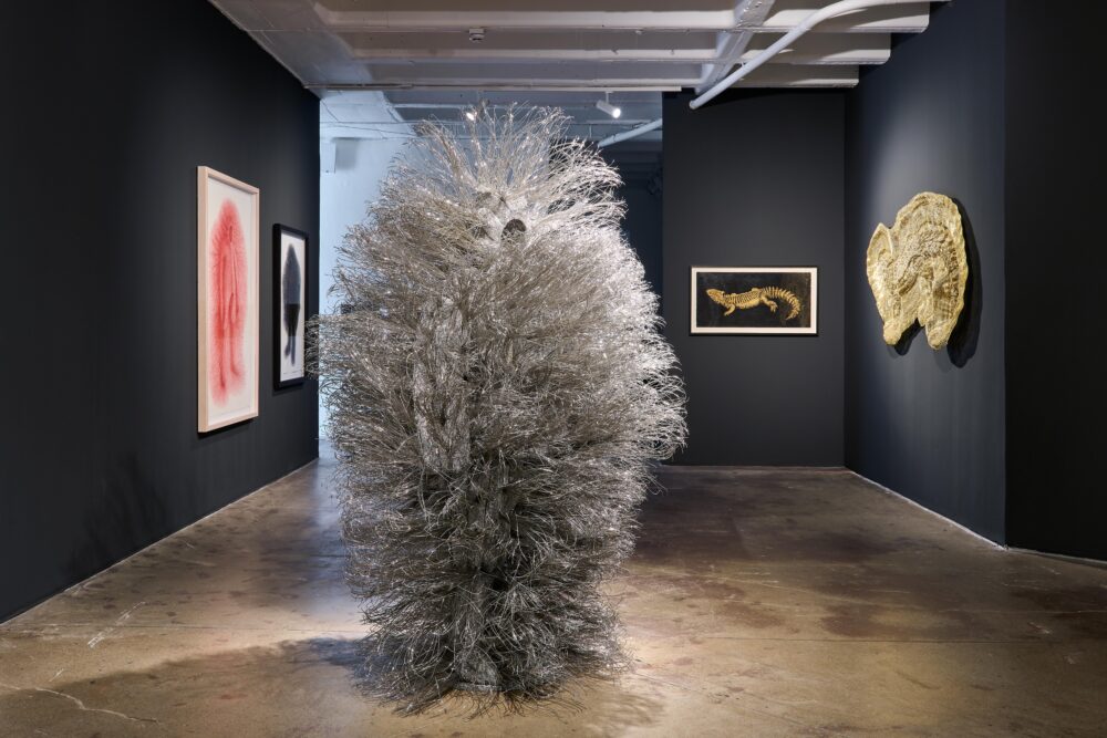 Walter Oltmann and the alchemy of wire