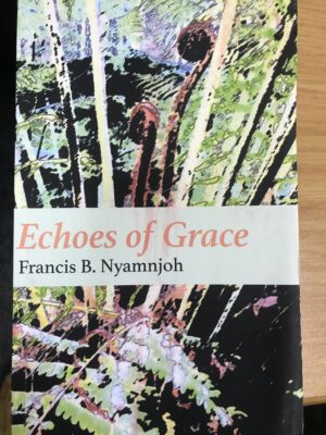 Francis Nyamnjoh’s novel a new grace for the old order