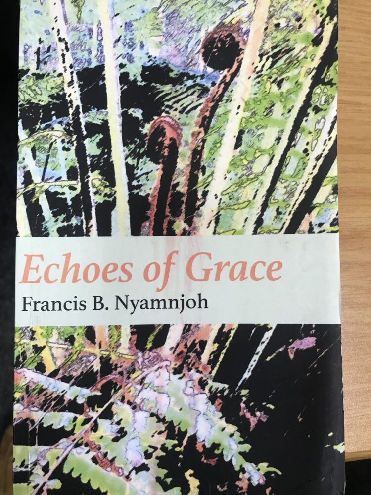 Francis Nyamnjoh’s novel a new grace for the old order