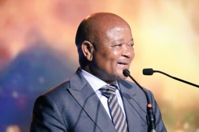 UPDATED: Mchunu denies ties to Matlala amid police tender scandal