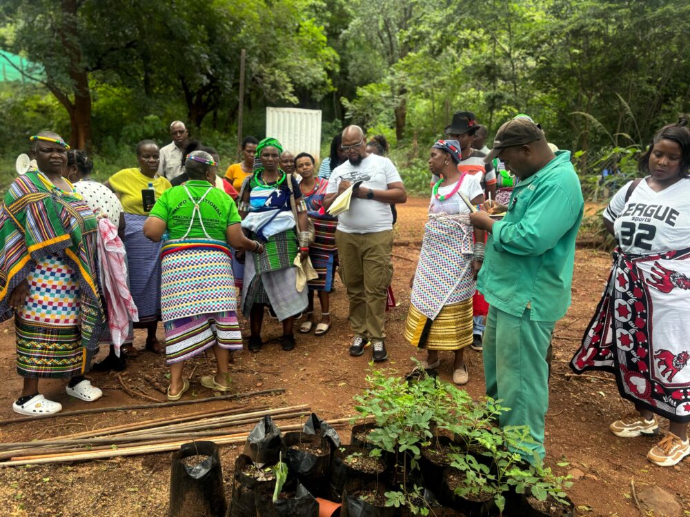 Workingwithtraditionalhealers,distributingseedlingsfortheirowncultivation