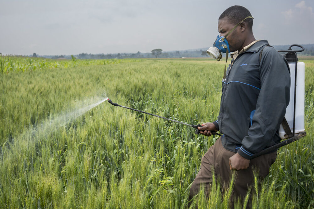 SA’s outdated pesticide laws under review: human rights and health at stake
