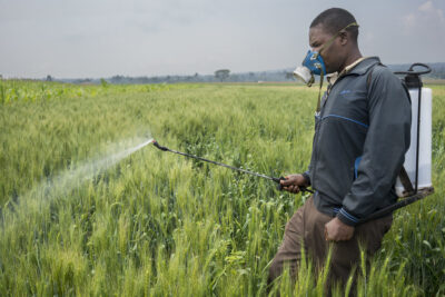 SA’s outdated pesticide laws under review: human rights and health at stake