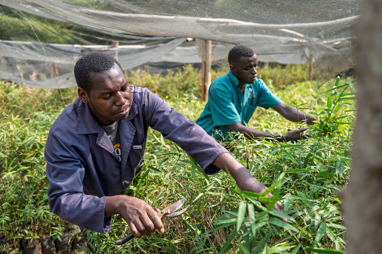 20250902 Unepdecadeonecosystemrestoration Inbaruganda Toddbrown 22