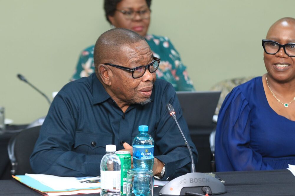 Blade Nzimande