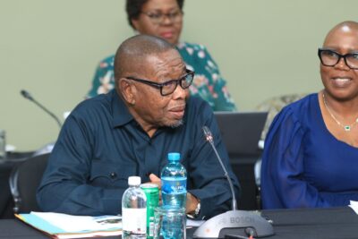 ‘Turn crisis into opportunity,’ say African health leaders