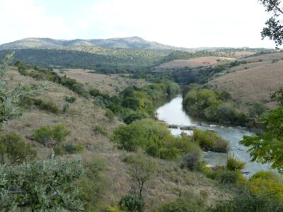 South Africa’s Crocodile River catchment turning into a ‘chemical cocktail’, warns researcher