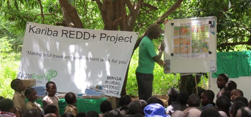 Kariba Redd