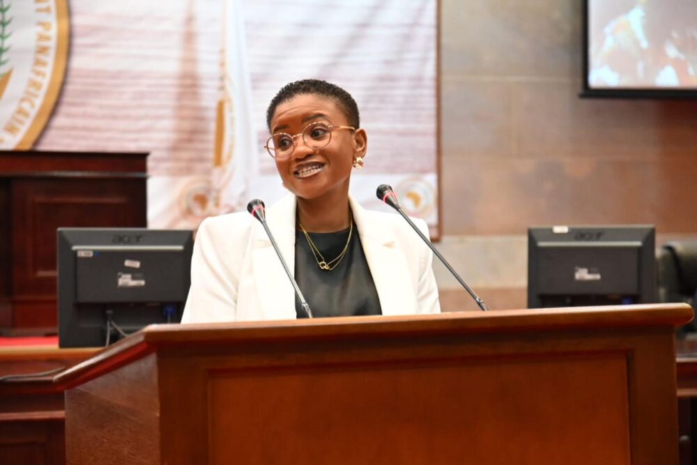 Convenor Of The 3rd Civil Society Parliament Dialogue, Bonolo Makgale Addresses Delegates On The Democratic Governance And Security Challenges Facing The Continent.