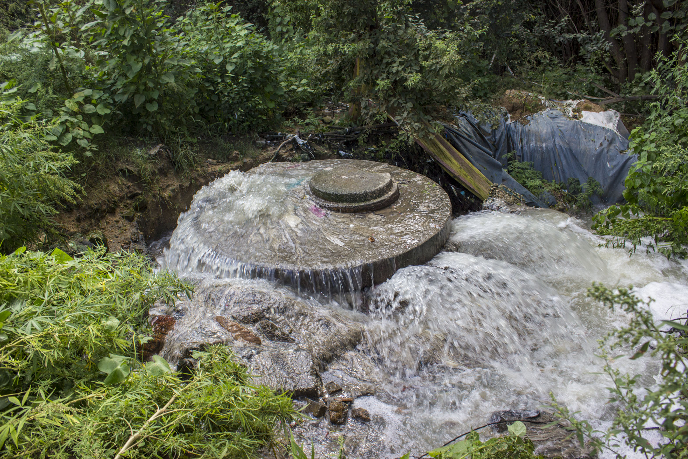 Mpumalanga municipality slapped with record R650m penalty for years of raw sewage spills