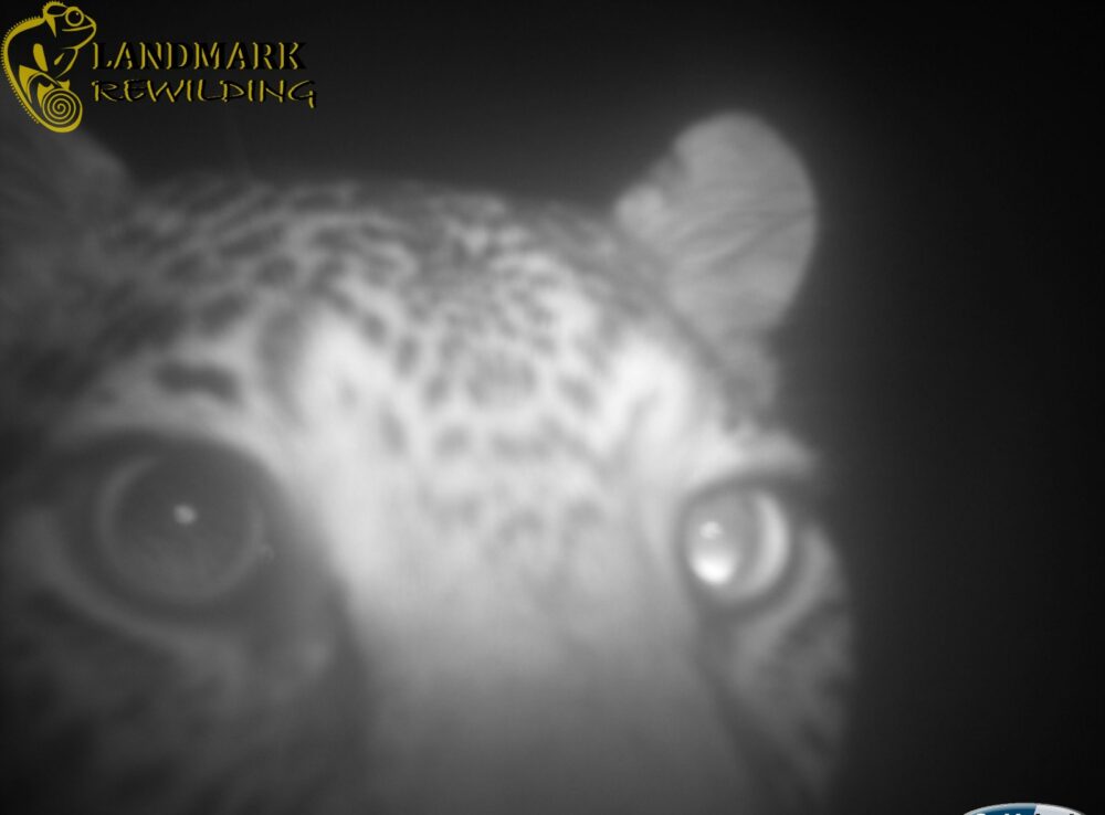 Photo 2025 11 12 16 59 41