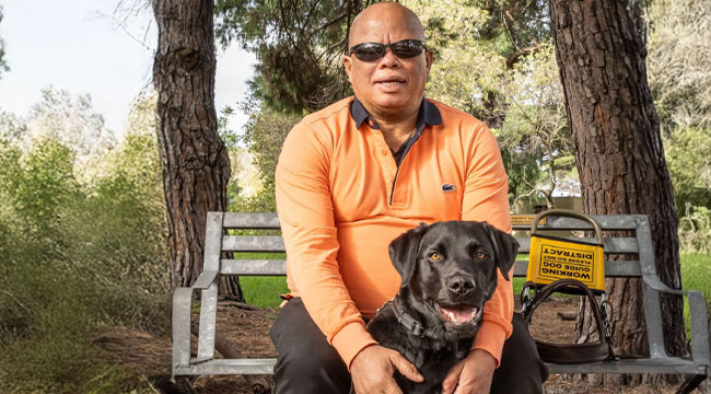 Volt Africa Deal Iol Winston November 2025 650x360px 20251110