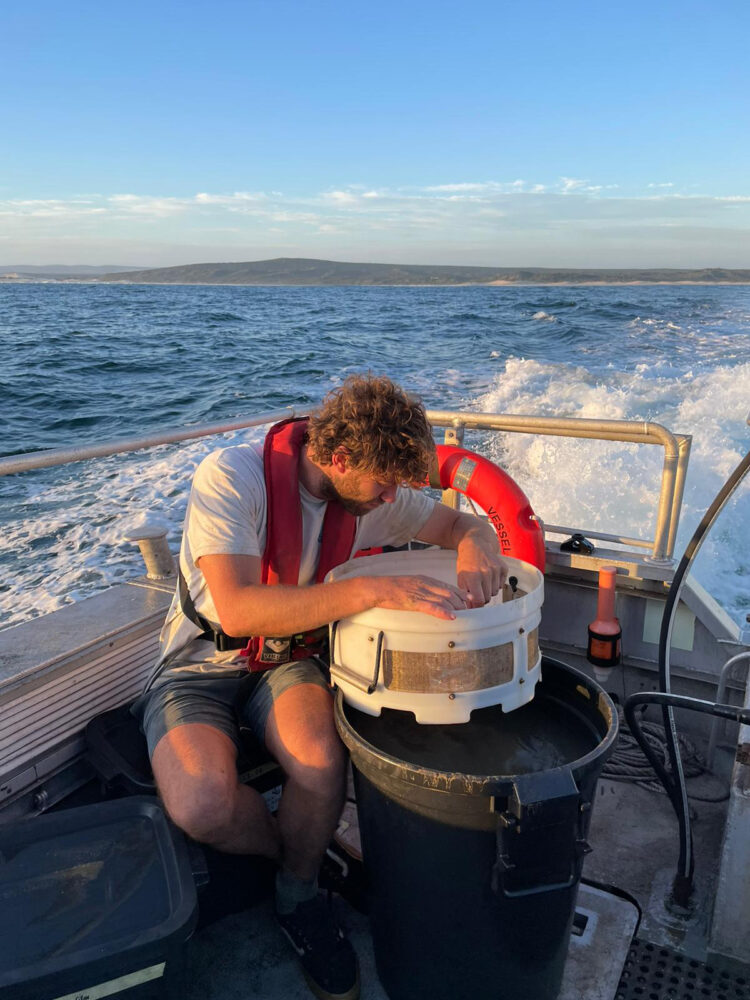 Whatsappimage2025 11 05at15.55.03