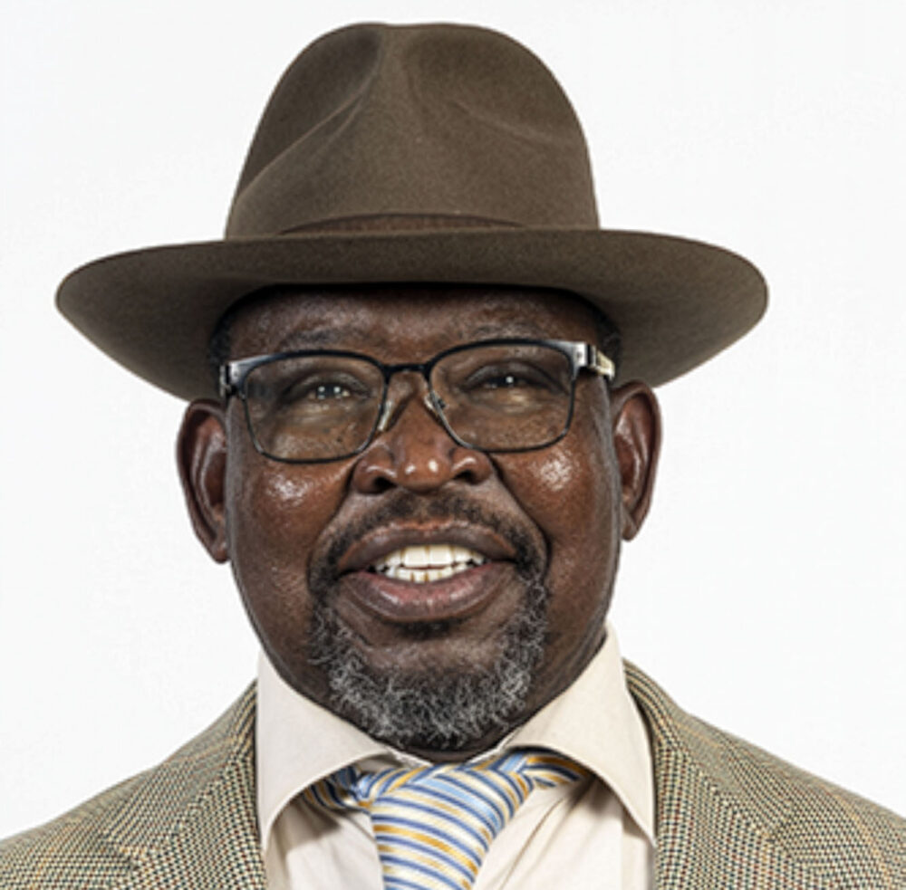 Enoch Godongwana: Finance