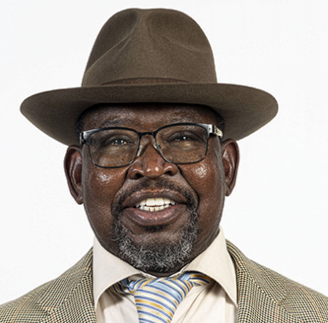 Enoch Godongwana: Finance