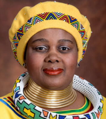 Mmamoloko Kubayi: Justice and Constitutional Development