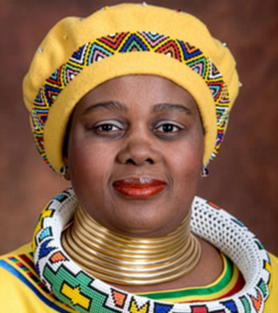 Mmamoloko Kubayi: Justice and Constitutional Development