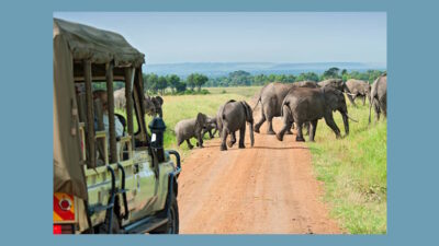 Top 10 hidden gems in Kruger National Park: Lesser-known areas worth exploring