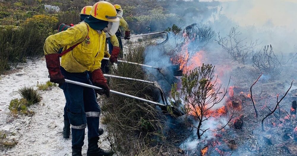 Fire alert not headed