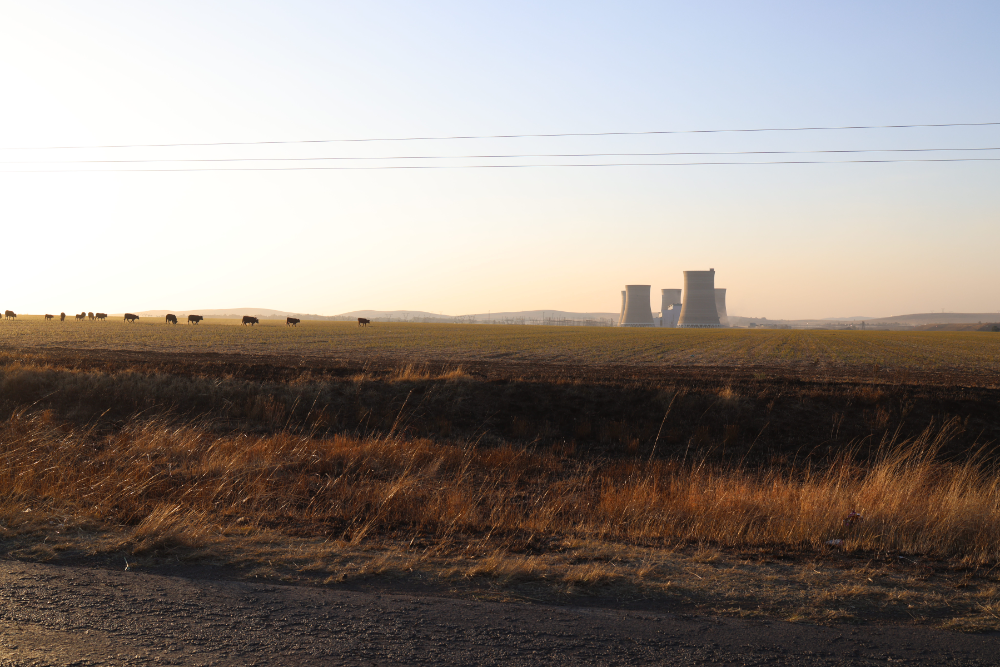 24784 202506241311noor Grootvleicombitrack Resized