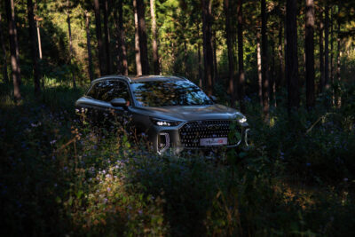 Festive drive: Chery Tiggo 9 and all its might