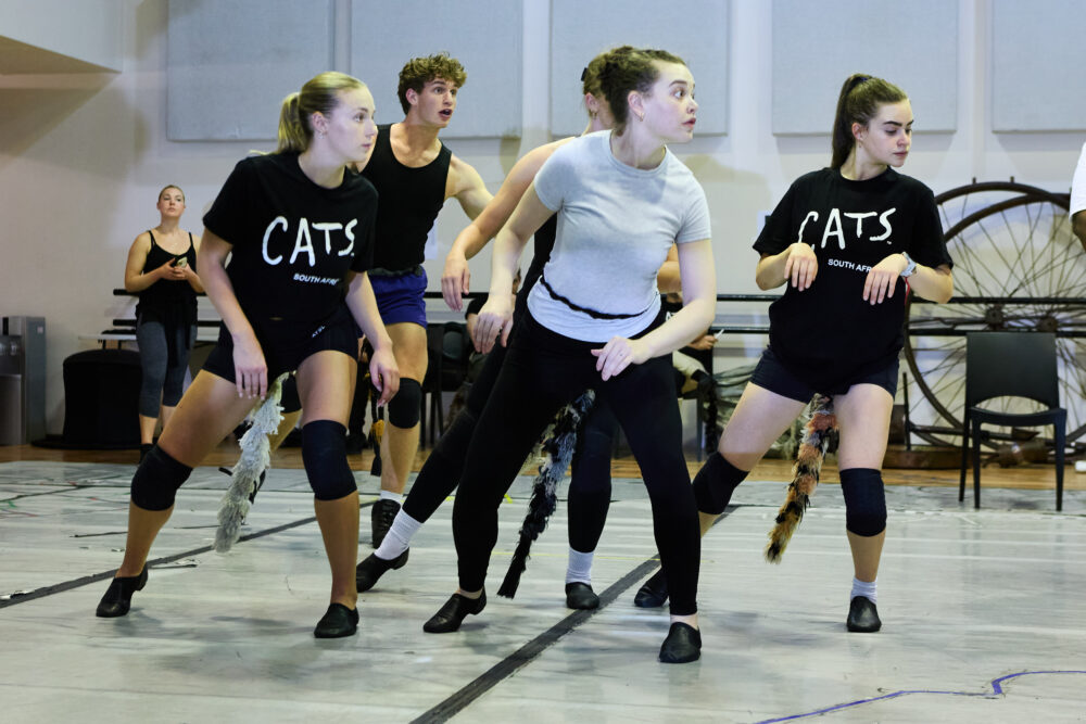 Catsrehearsals Photobyjessekramer