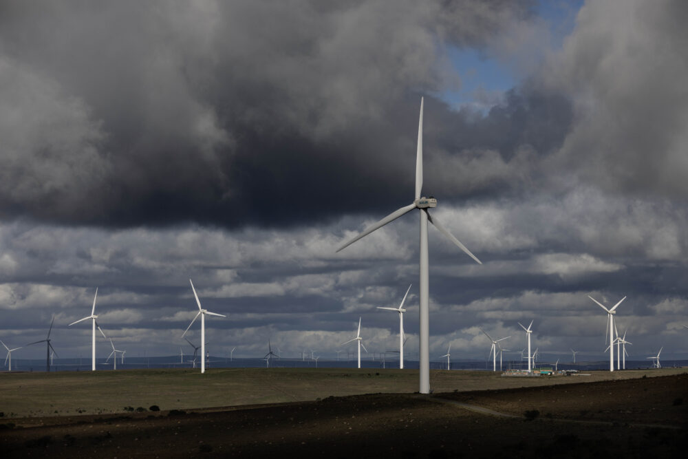 Cookhouse Wind Farm Paul Botes