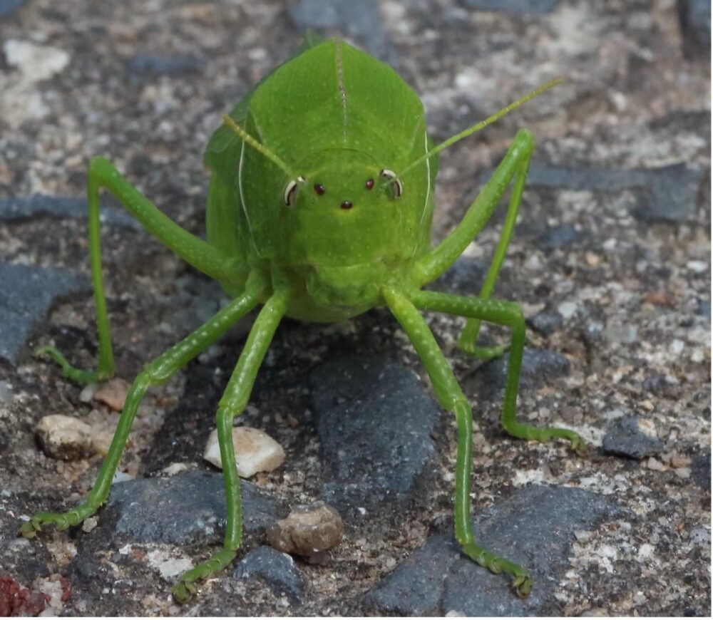 Photo 2026 01 12 14 30 51