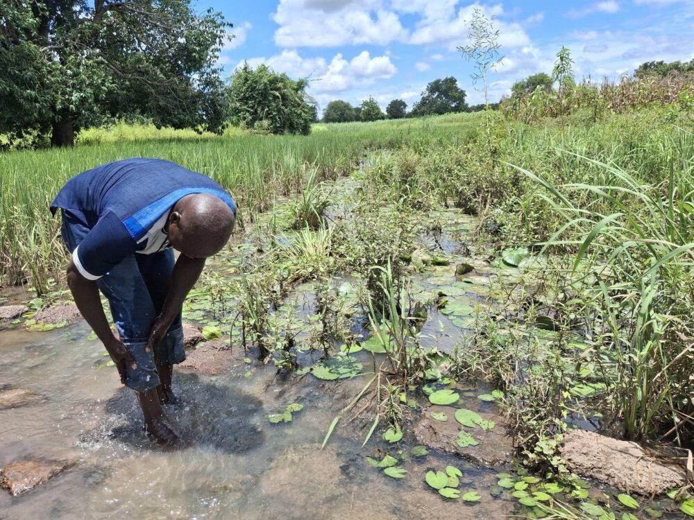 Afloodedfarmontheoutskirtsofdédougou