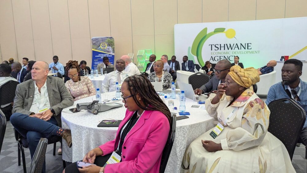 Delegatesatceiifinlusaka