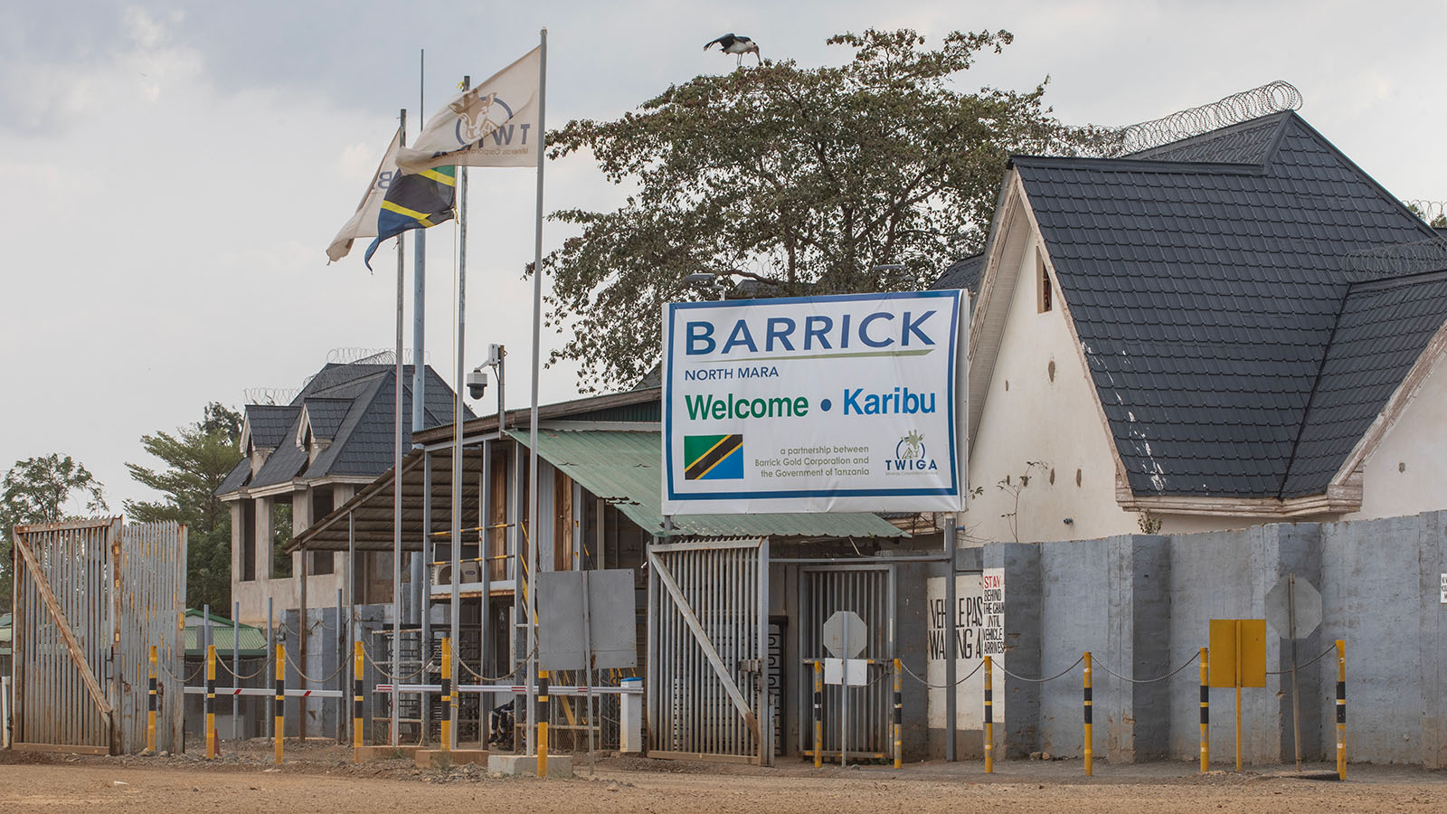 Barrick and Twiga Minerals launch helicopter surveys to boost Tanzania gold exploration