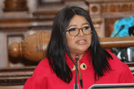 Free State premier declares year of decisive action to fix municipalities, drive economic growth