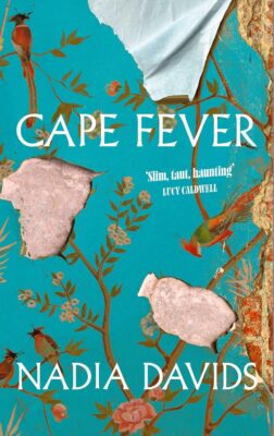 ‘Cape Fever’: When fiction fills the gaps of history