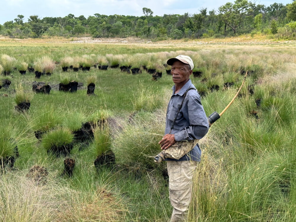 ‘Ghost Elephants’ explores nature, myth and memory