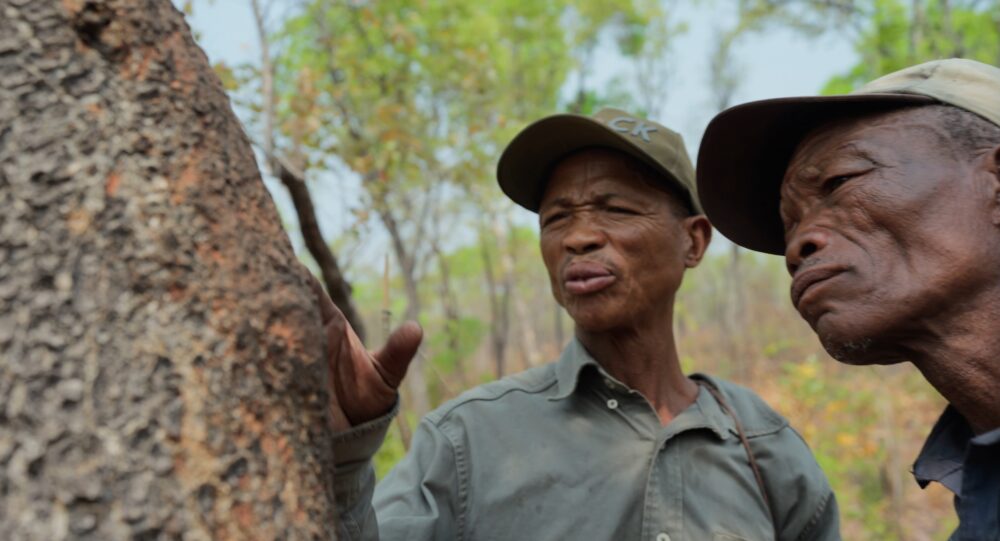 Ghostelephants Uhd 19