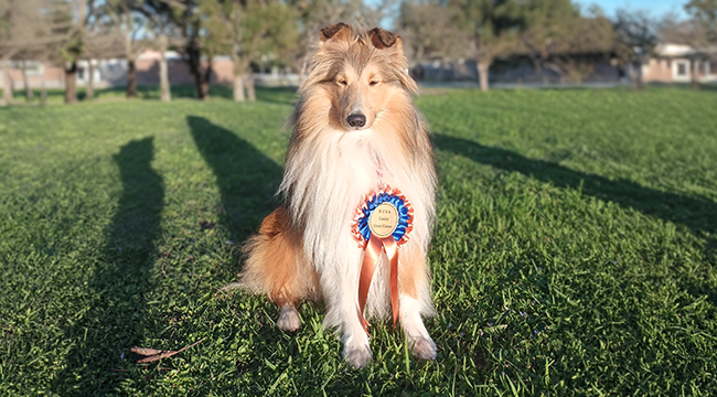 Landscape Image 3 650x360