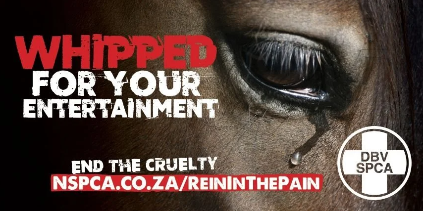 Reininthepain1