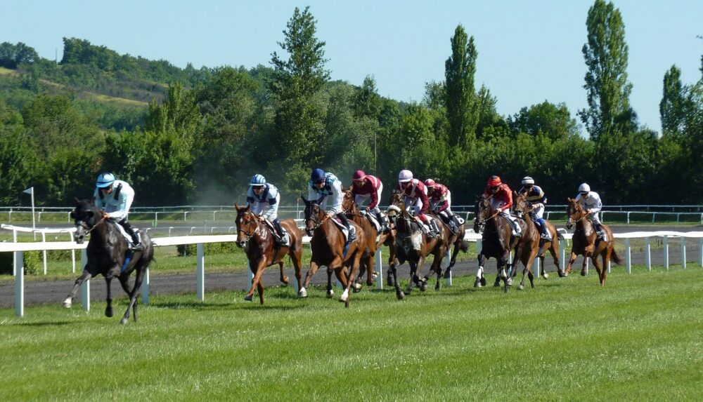 Full gallop: Horse racing’s digital comeback in South Africa