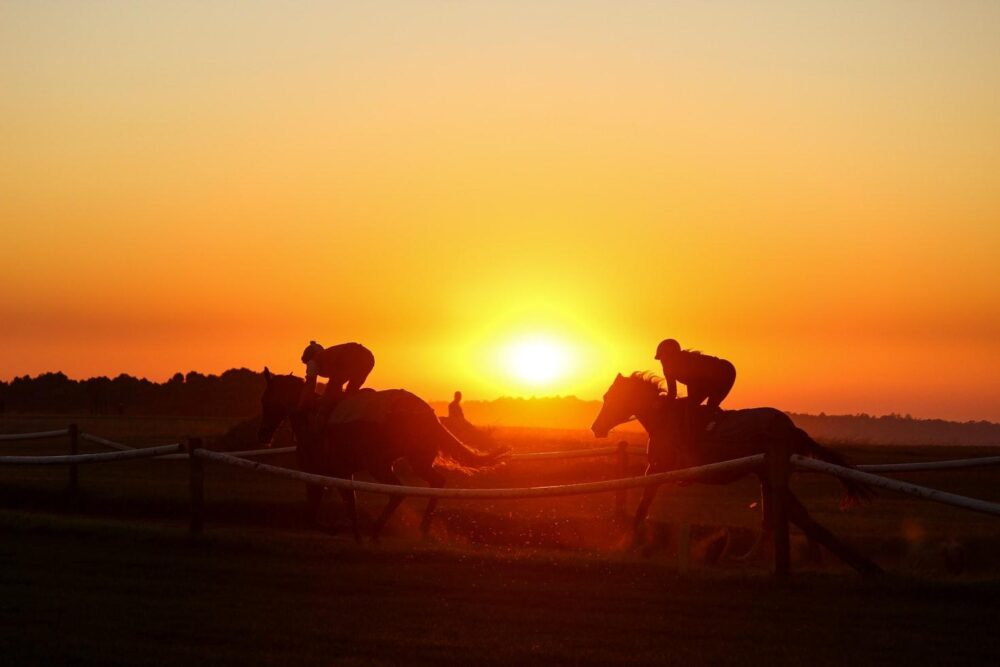Horse Racing 2