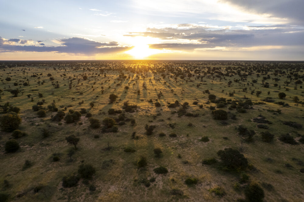 Conservation drive crosses borders