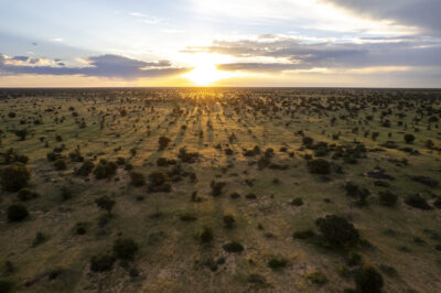Conservation drive crosses borders