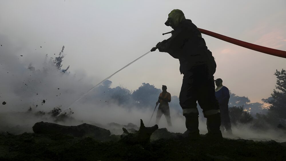Working on Fire sues over tender