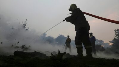 Working on Fire sues over tender