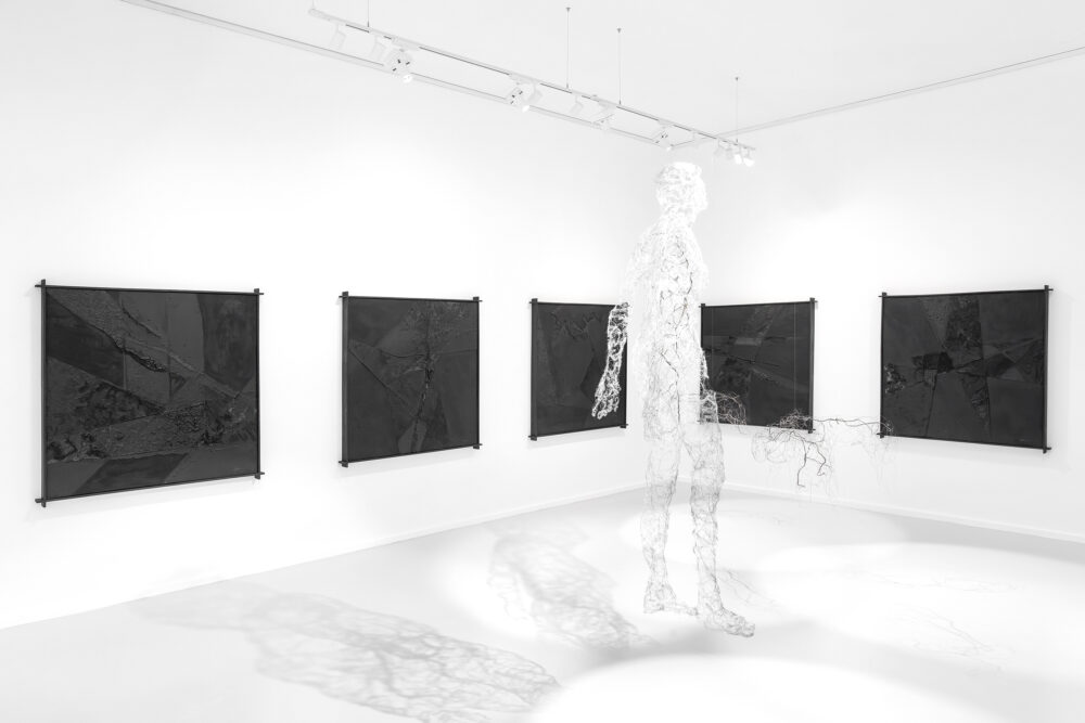 Gatherer Install 01