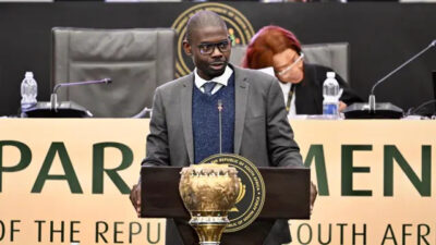Rise Mzansi’s Makashule Gana elected impeachment committee chairperson